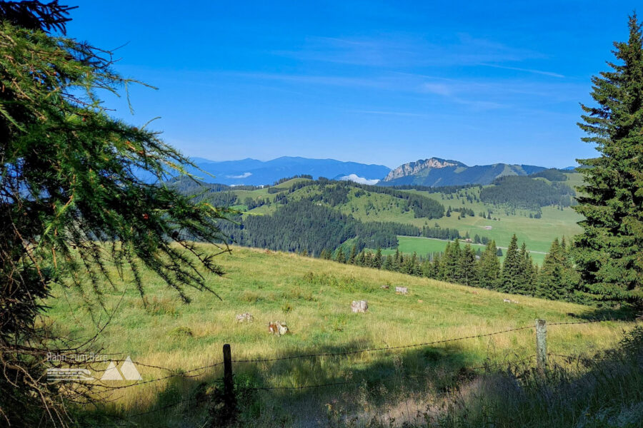 Blick nach Westen auf die Rote Wand. Foto: Alice Frischherz