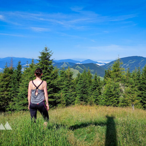 Aussicht vom Osser in Richtung Nordwesten. Foto: Alice Frischherz