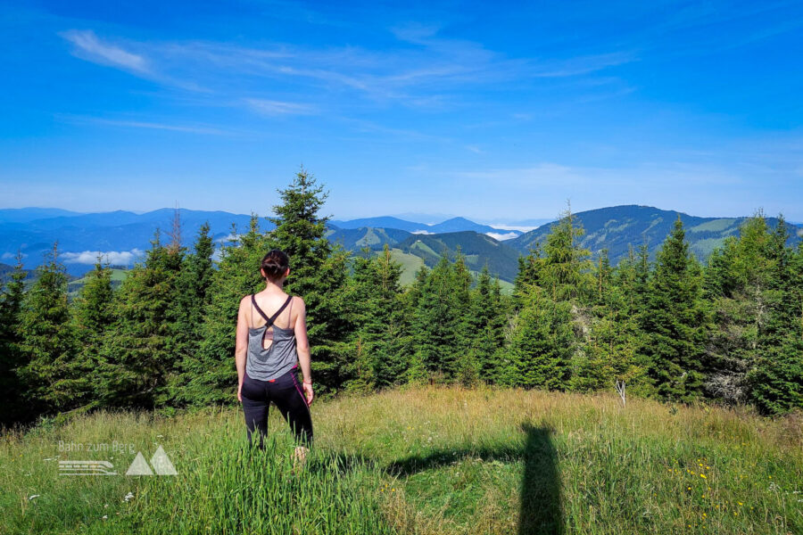 Aussicht vom Osser in Richtung Nordwesten. Foto: Alice Frischherz