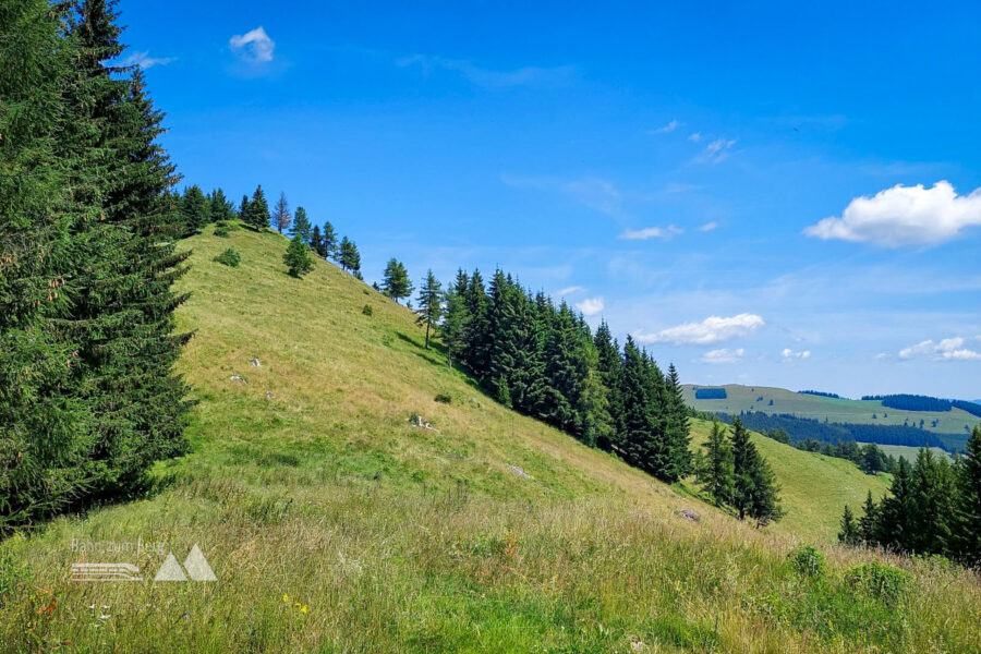 Blick in Richtung Bründlkogel. Foto: Alice Frischherz