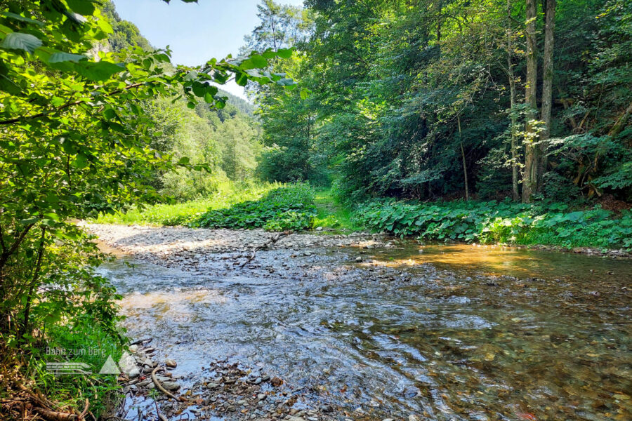 Flussdurchquerung Raab. Foto: Alice Frischherz