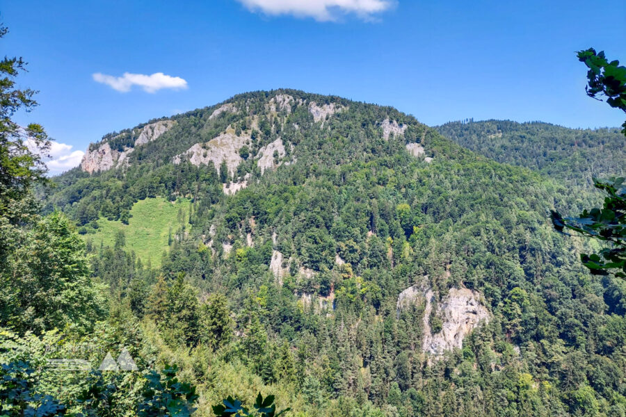 Aussicht auf die Gösserwand. Foto: Alice Frischherz