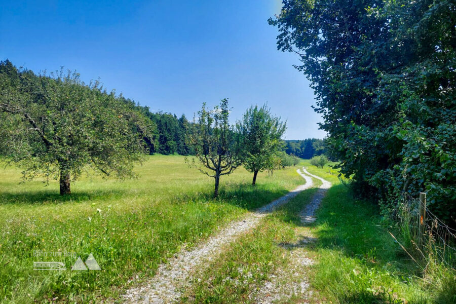 Wiesenweg. Foto: Alice Frischherz