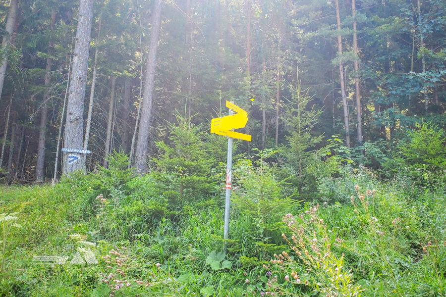 Abzweigung hinauf zum Sonnwendstein über den Almsteig (blaue Markierung folgen). Foto: Linda Prähauser