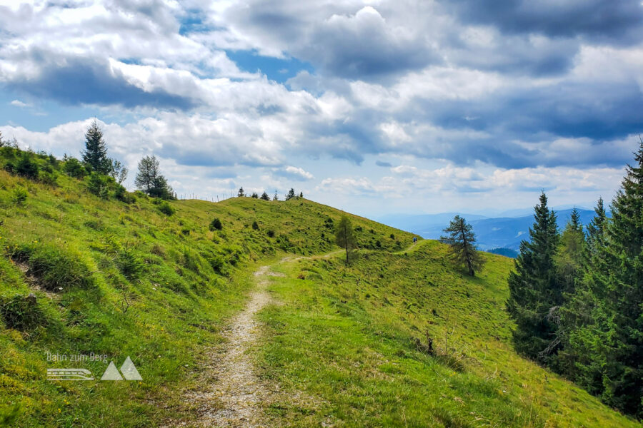 Entlang des Kammweges geht hinunter Richtung Semmering. Zwischendurch gibt es einen schönen Rundumblick. Foto: Linda Prähauser