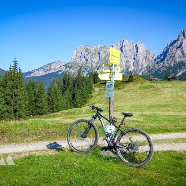 Wechselzone mit Treffneralm im Hintergrund. Foto: Martina Friesenbichler