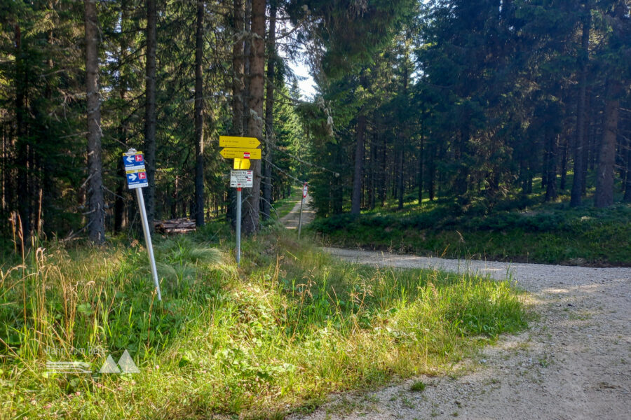 Auf dem Weg in Richtung Schanzsattel. Foto: Martina Friesenbichler