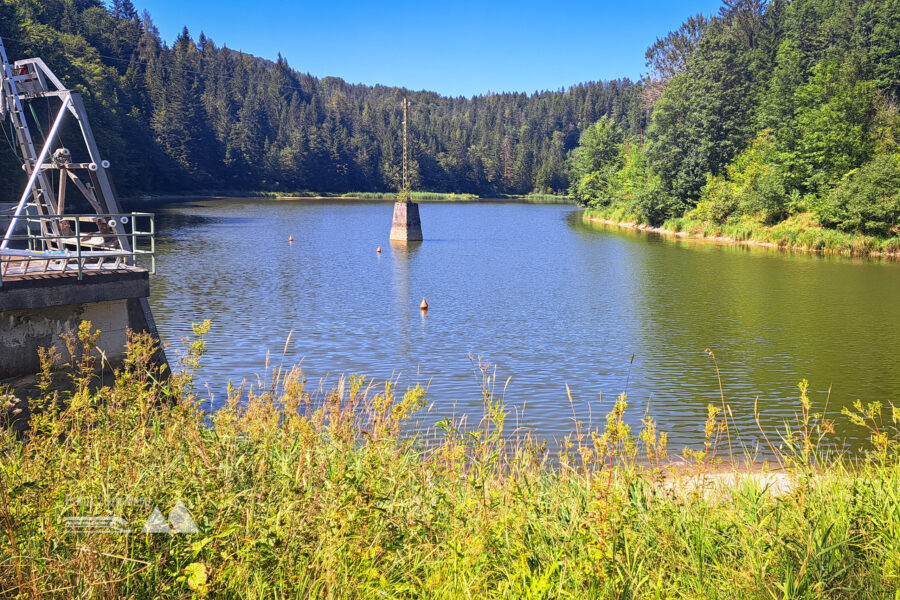 Stausee Wienerbruck. Foto: Gerold Petritsch