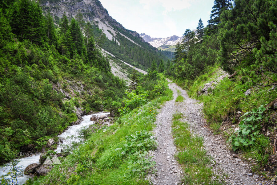 Forstweg ins Tal, am Faludrigabach entlang. Foto: Norman und Lisa