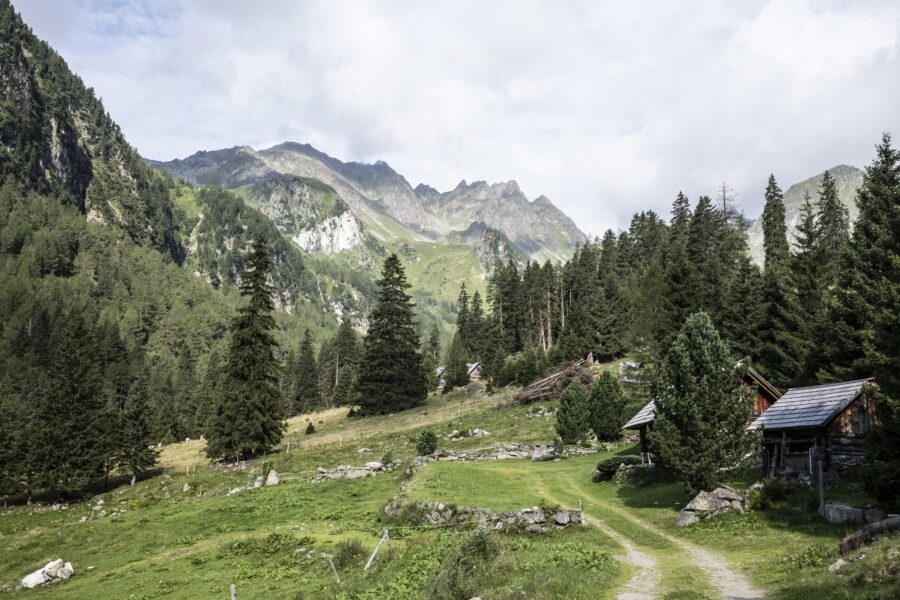 Auf dem Weg zur Hubenbaueralm. Foto: Birgit Reiter