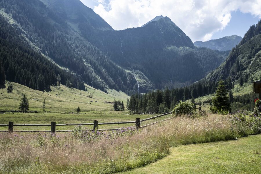 Blick von der Bräualm Richtung Talschluss. Foto: Birgit Reiter