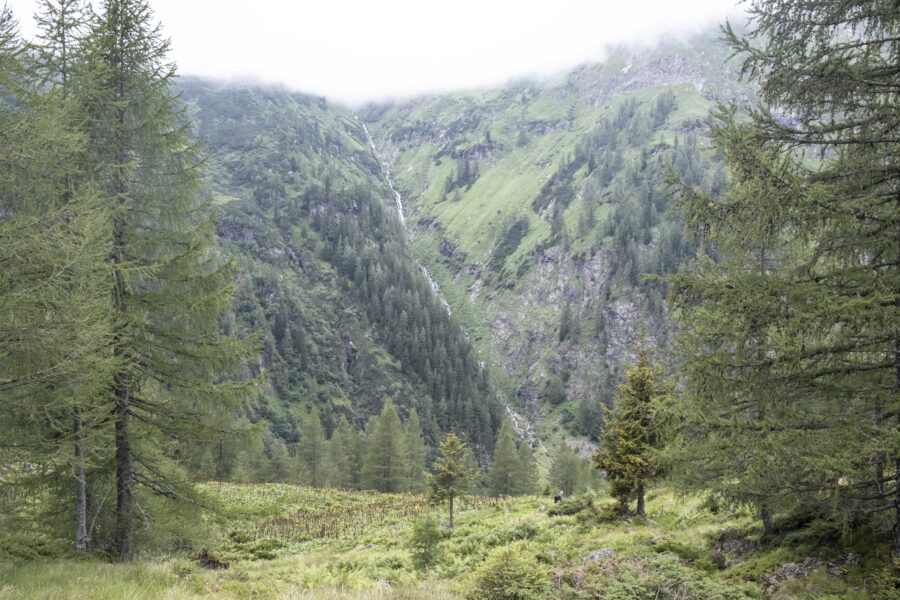 Abstieg zur Putzentalalm. Foto: Birgit Reiter