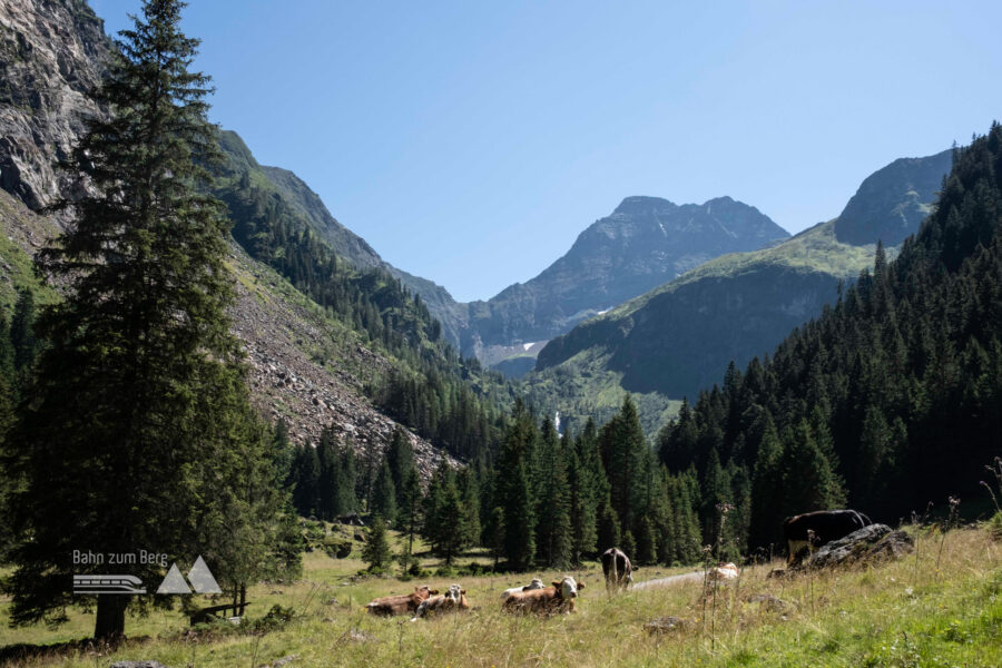 Blick zurück beim Abstieg von der Gollinghütte. Foto: Birgit Reiter