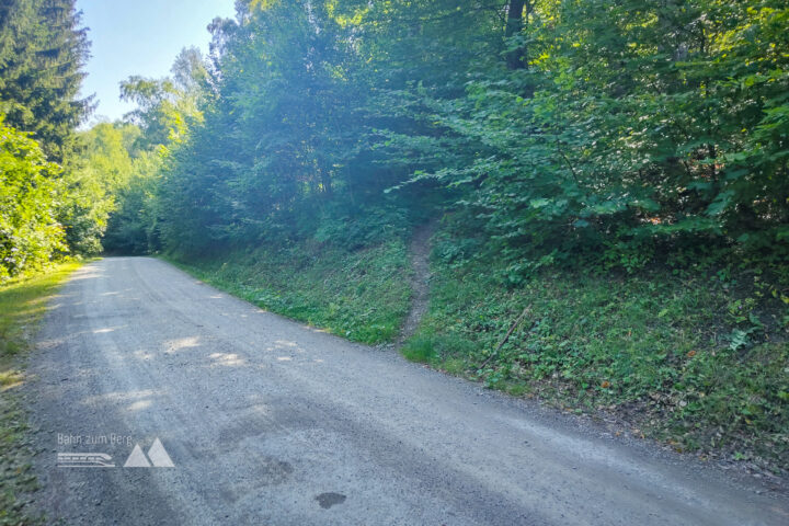 Abzweigung auf den steilen Pichlersteig. Fotos: Simon Widy