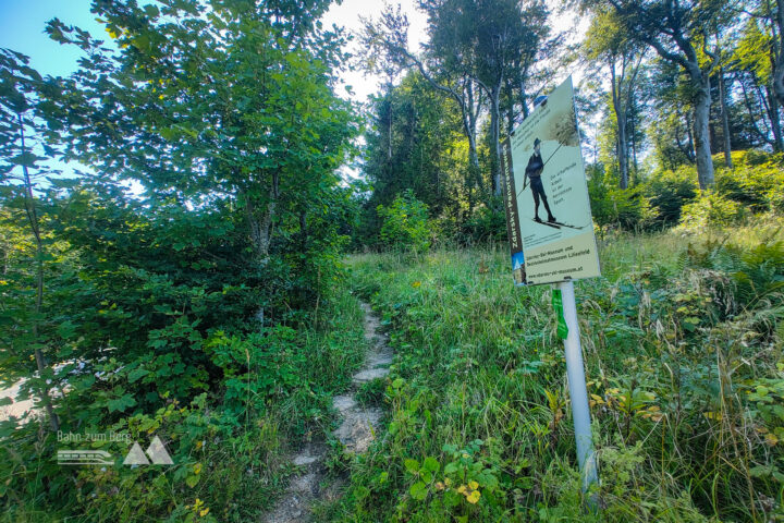 Aufstieg zum Gipfel des Muckenkogels, Aussicht auf das Traisental. Fotos: Simon Widy