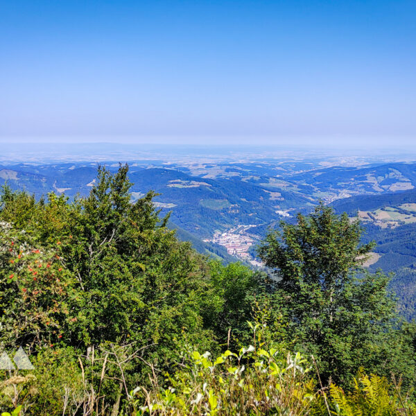 Aufstieg zum Gipfel des Muckenkogels, Aussicht auf das Traisental. Fotos: Simon Widy