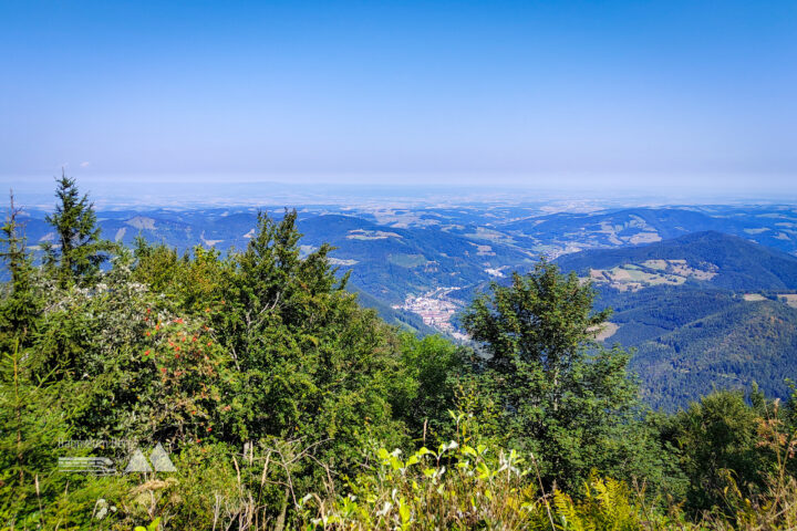 Aufstieg zum Gipfel des Muckenkogels, Aussicht auf das Traisental. Fotos: Simon Widy