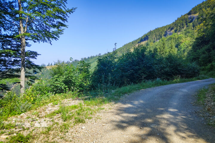 Am Weg zur Klosteralm. Fotos: Simon Widy