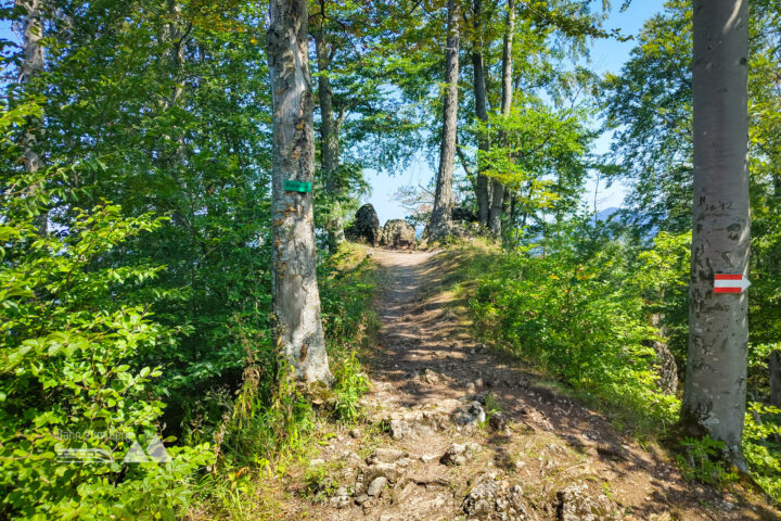 Abstieg am Jägersteig. Fotos: Simon Widy