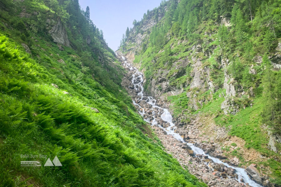 Aufstiegsweg entlang des Kolmbaches. Foto: Alpenverein Saalfelden