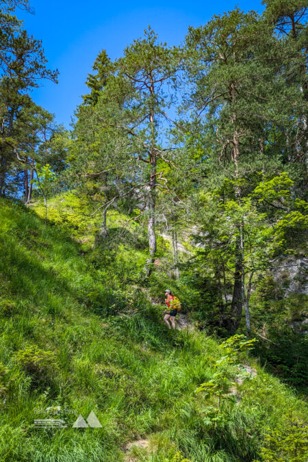 Nach dem Steilen Ausstieg aus den Gräben erscheint das Gipfelmassiv des Ötschers. Foto: Peter, POW AT