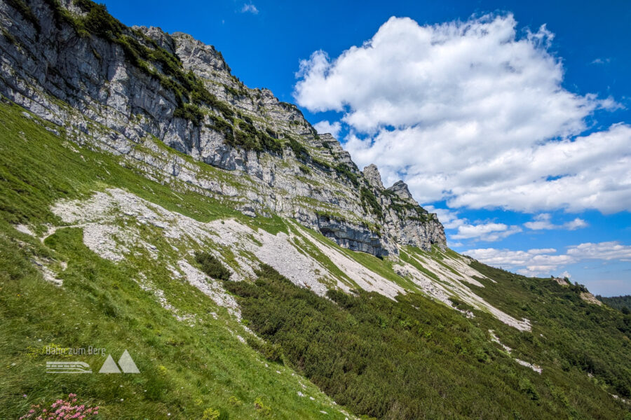 Unterhalb der Felswand geht es entlang zum Einstieg in den Rauen Kamm. Hier befinden sich die zwei Eingänge (Geldloch und Taubenloch, etwa 10 Meter über dem normalem Weg) in das Höhlensystem des Ötschers. Foto: Peter, POW AT