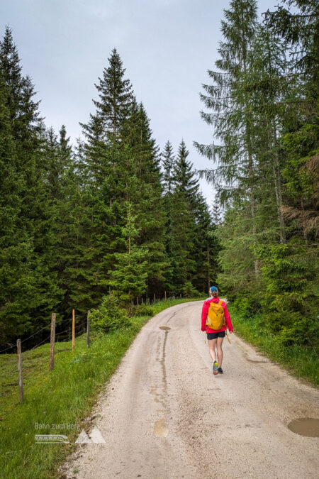 Auf der Forststraße Richtung Mitterbach. Foto: Peter, POW AT