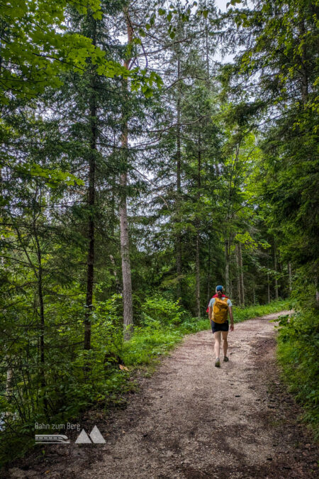 Auf der Forststraße Richtung Mitterbach. Foto: Peter, POW AT