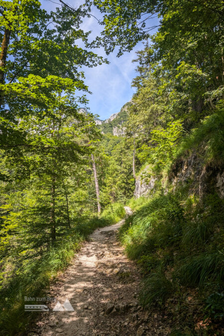 Die steilen 300 Höhenmeter vor der Toni-Lenz-Hütte führen über einen stufigen Weg in die Sonne. Fotos: Maresa Brandner