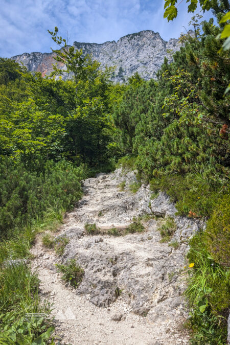 Die steilen 300 Höhenmeter vor der Toni-Lenz-Hütte führen über einen stufigen Weg in die Sonne. Fotos: Maresa Brandner