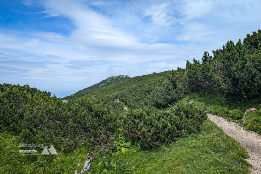 Am Hochplateau angekommen ist das Gipfelkreuz schon zu erkennen. Foto: Maresa Brandner