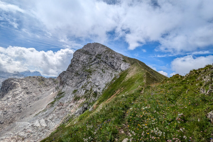 Durch ein Blumenmeer werden die letzten Meter zurückgelegt. Foto: Maresa Brandner