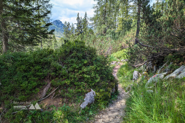 Nach einer Abkühlung geht’s weiter in Richtung Kallbrunnalmen. Fotos: Maresa Brandner