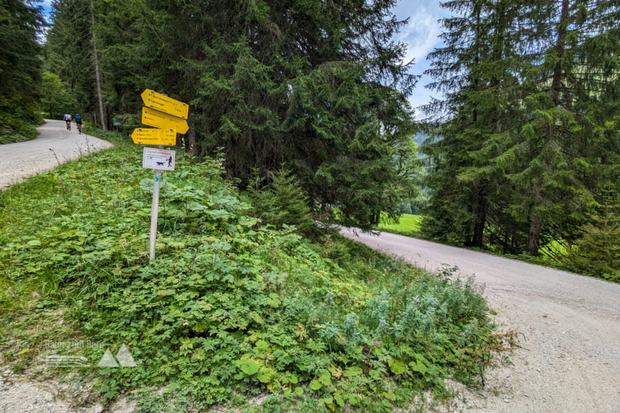 Eine scharfe Linkskurve führt zum Schaustadel, wo man zum Almerlebnisbus zusteigen kann. Foto: Maresa Brandner