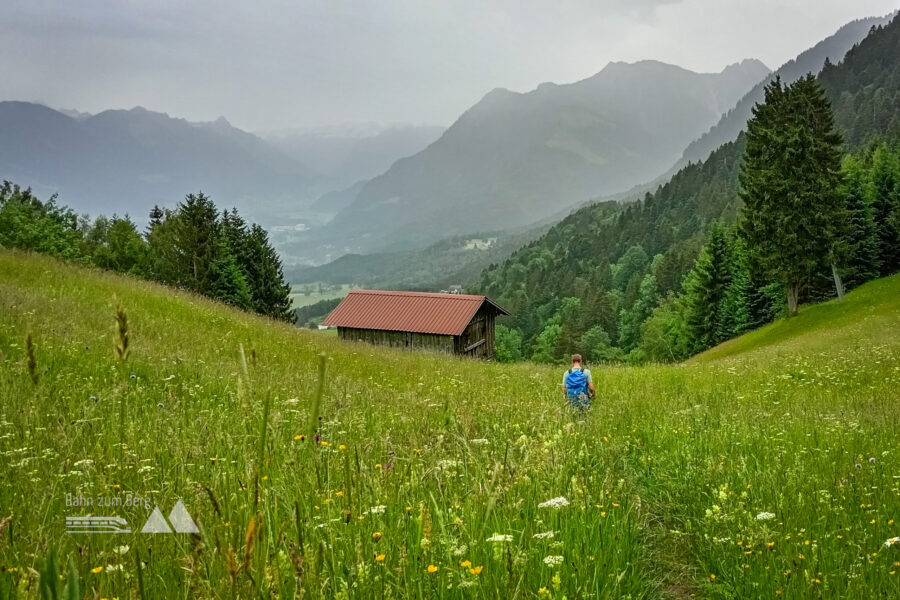 Rückweg nach Gurtis durch blühende Alwiesen. Foto: Norman und Lisa