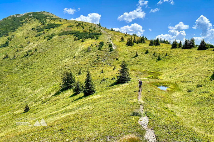 Wo bleibst du? Ich seh schon das Gipfelkreuiz! Foto Veronika Schöll