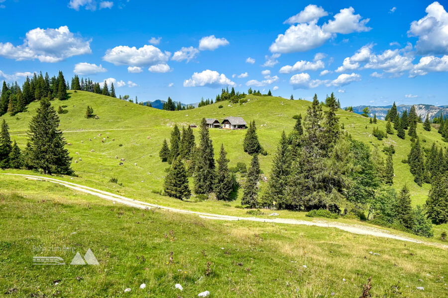 Oberhalb der Ebenhütte führt der Weg vorbei. Foto Veronika Schöll