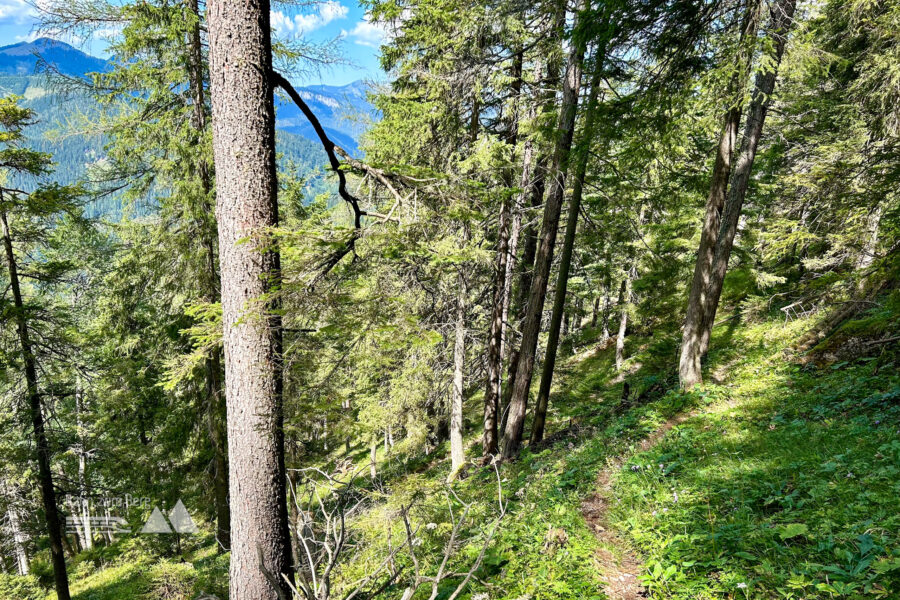 Abwärts nach Mürzsteg. Foto Veronika Schöll