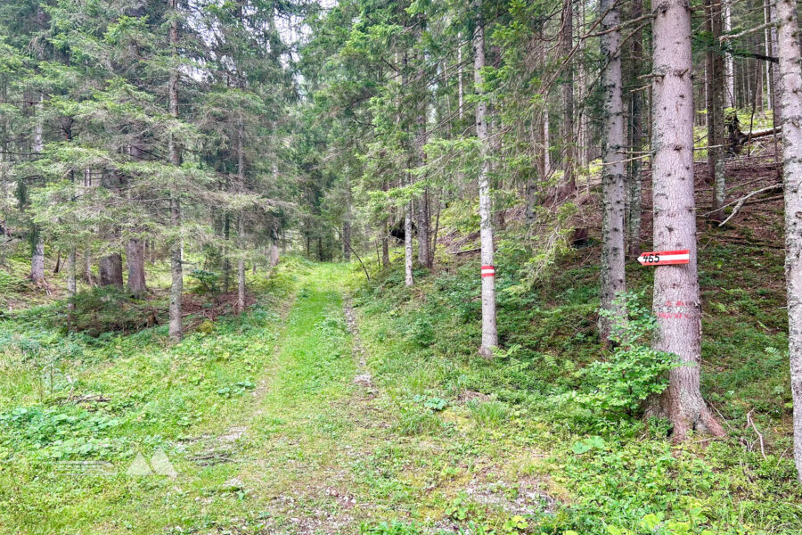 Wanderstart in Niederalpl. Foto Veronika Schöll