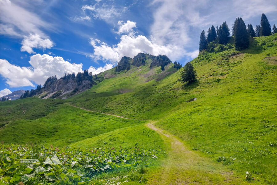 Der Gipfel Glattmar ist schon in Sicht. Foto: Alice Frischherz