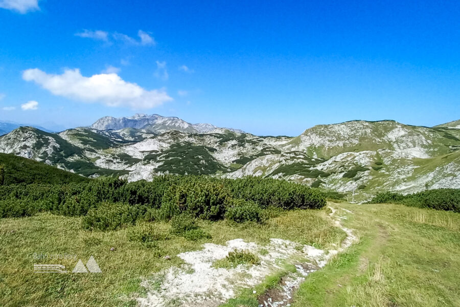 Ideales Wanderwetter. Foto: Martina Friesenbichler