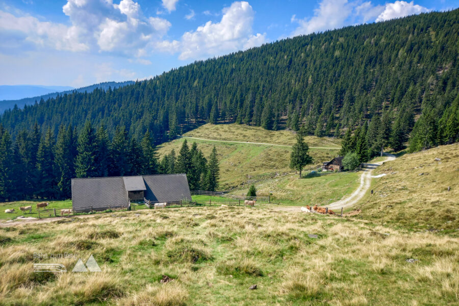 Terenbachhütte. Foto: Martina Friesenbichler