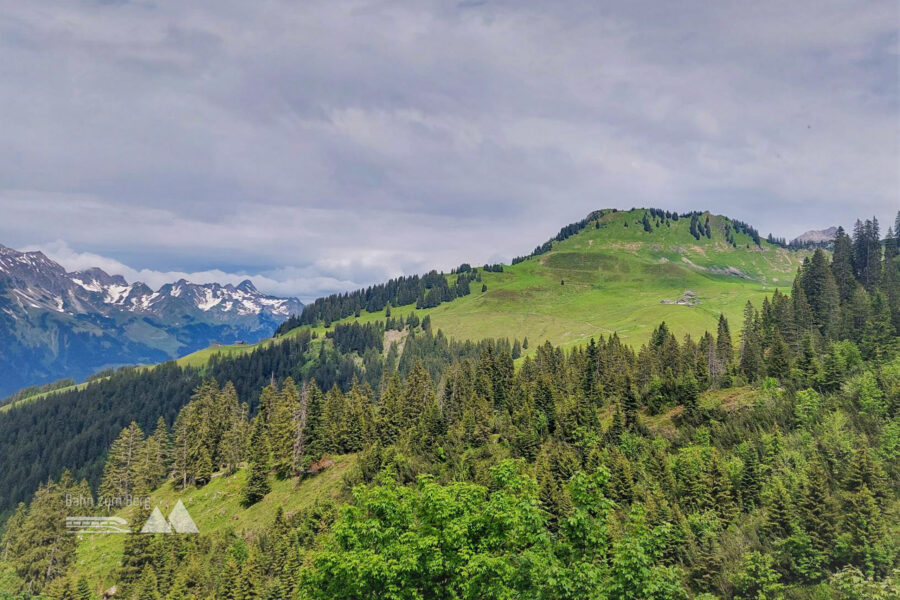 Blick zurück auf Glattmar. Foto: Alice Frischherz