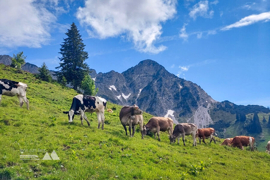 Wieder blauer Himmel beim Breithorn. Foto: Alice Frischherz