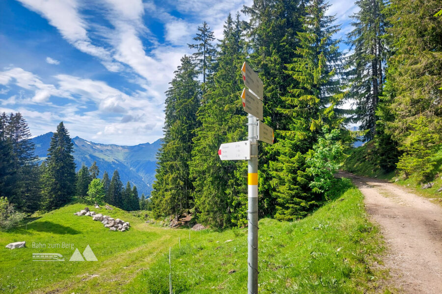 Am Rückweg zur Seilbahn. Foto: Alice Frischherz