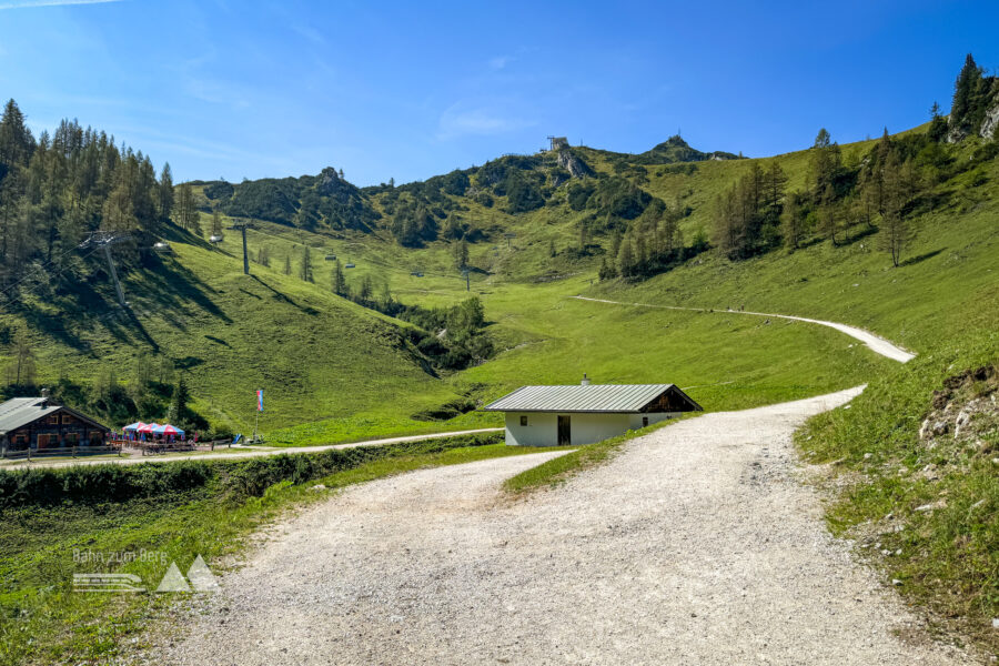 Forstweg. Foto: Bernhard Walle