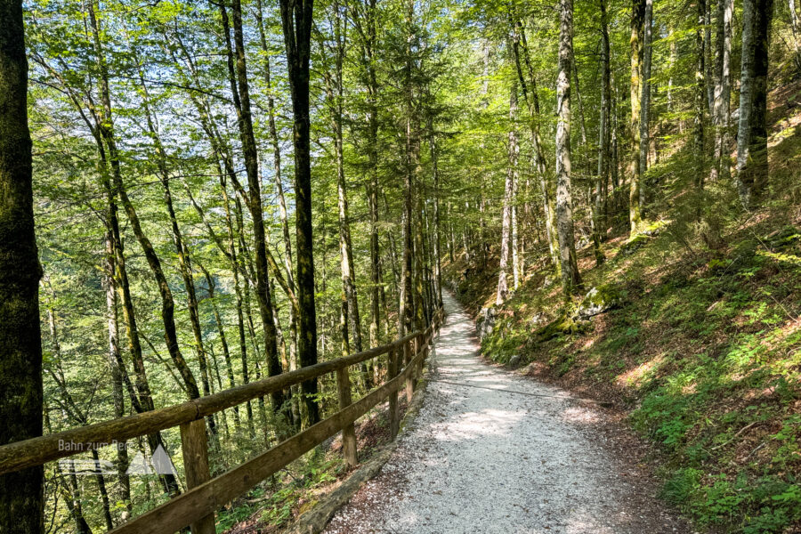 Forstweg nach unten. Foto: Bernhard Walle