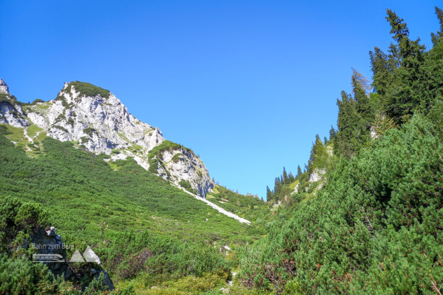 Der Wald liegt hinter mir, bald erreiche ich die Häuslalm. Foto: Martina Friesenbichler