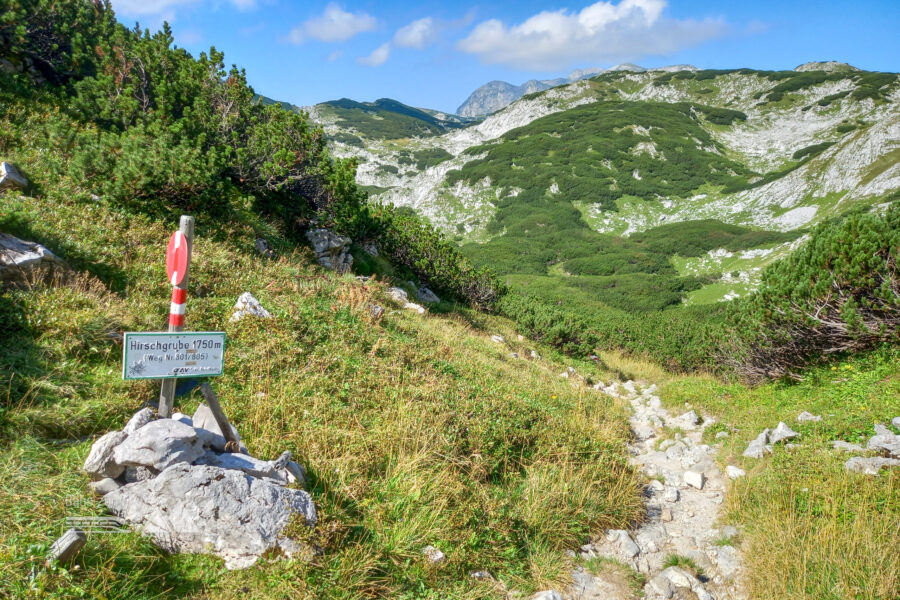 Von der Hirschgrube sind es noch gut 150 Höhenmeter zum Gipfel. Foto: Martina Friesenbichler