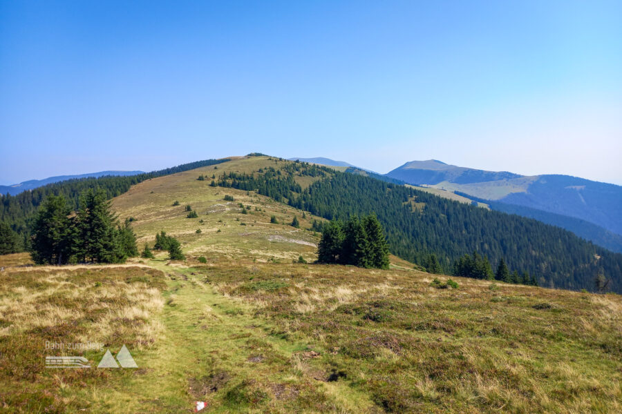 Eine herrliche Kammwanderung erwartet mich. Foto: Martina Friesenbichler